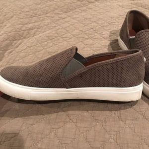 Steve Madden Sneakers